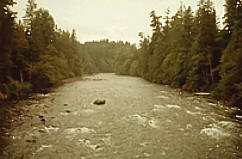 Il Campbell River sull'Isola di Vancouver