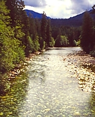 Il Gold River sull'Isola di Vancouver