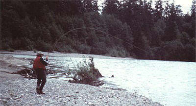 In lotta con un salmone sul Kitimat River
