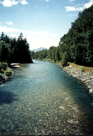 Il Vedder River a Chilliwack