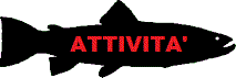 ATTIVITA' SOCIALI