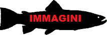 IMMAGINI