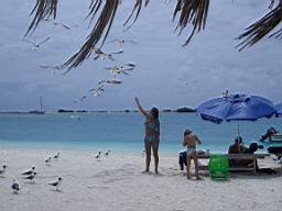 CIMG0016.JPG