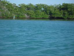 CIMG0040.JPG