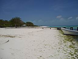 P1110016.JPG